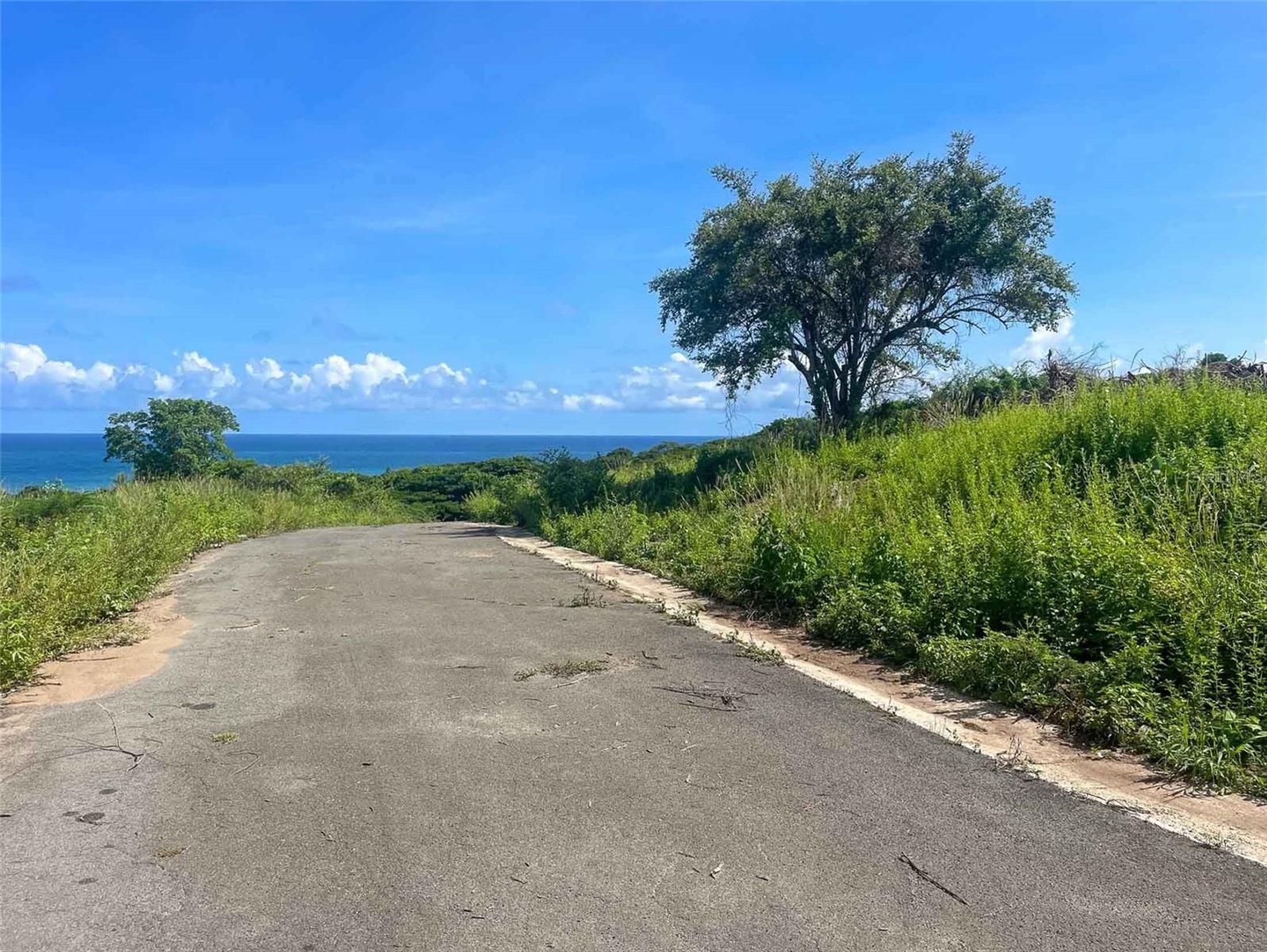 2c Hacienda Puerto Real Property Photo 4