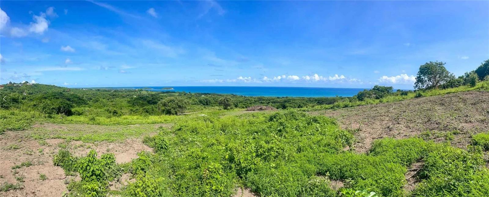 2c Hacienda Puerto Real Property Photo 6