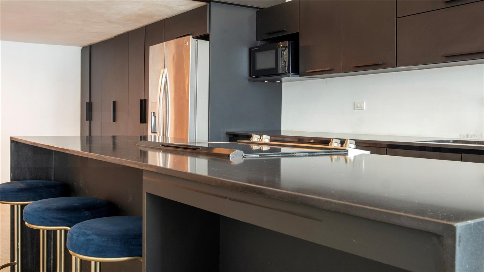 203 Recinto Sur #5 Property Photo 10