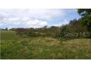 Pr 2 Km. 120.6 Property Photo 12