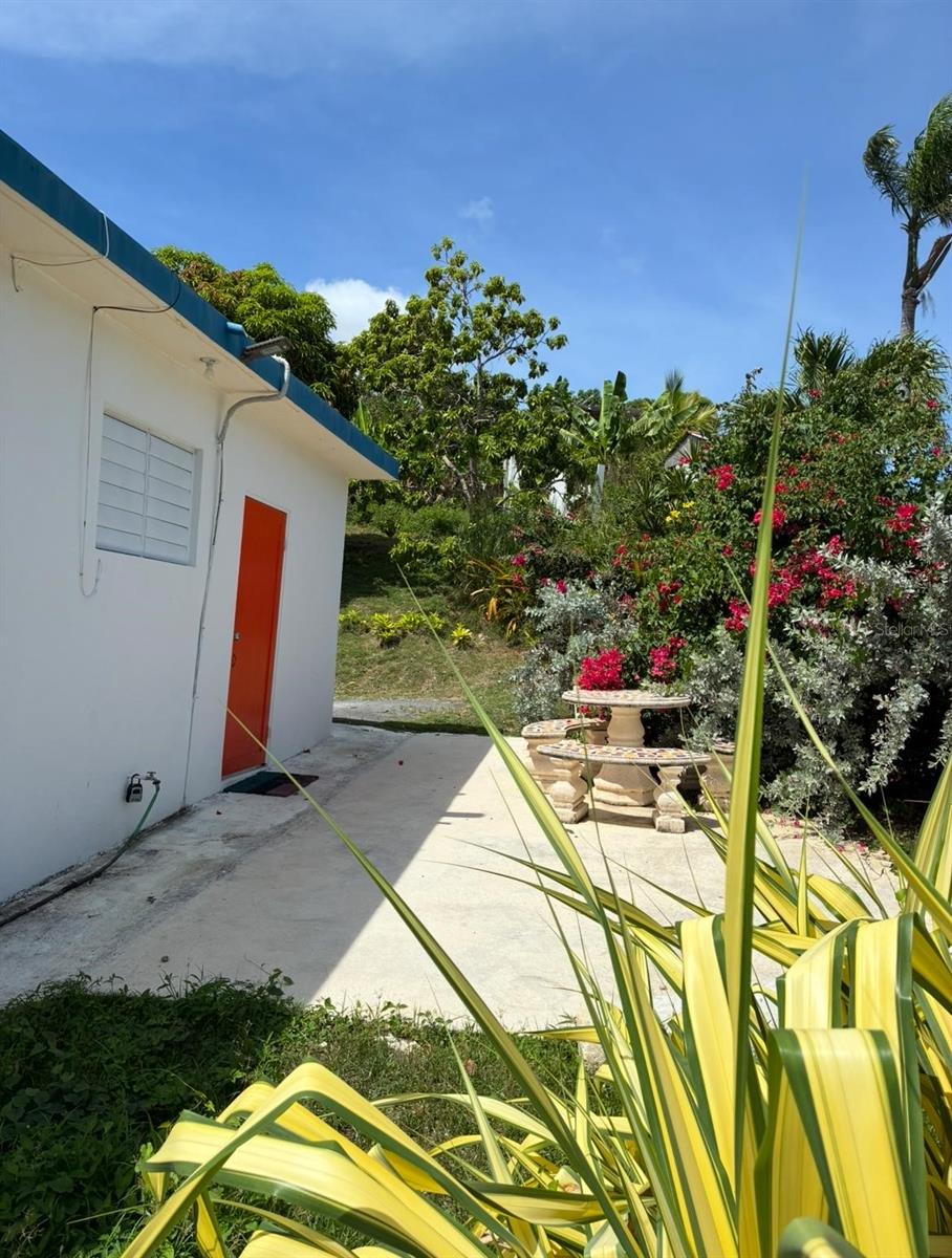 114 Route 901 #km 2.0 Property Photo 28