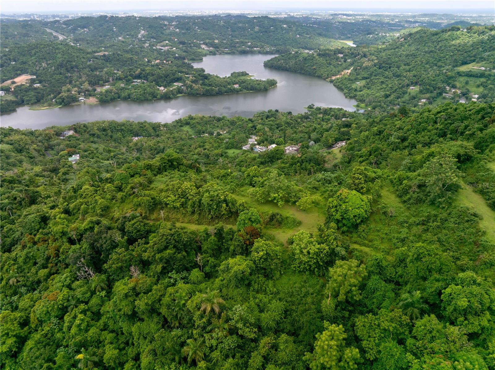 Arr 942 Jaguas Property Photo 13