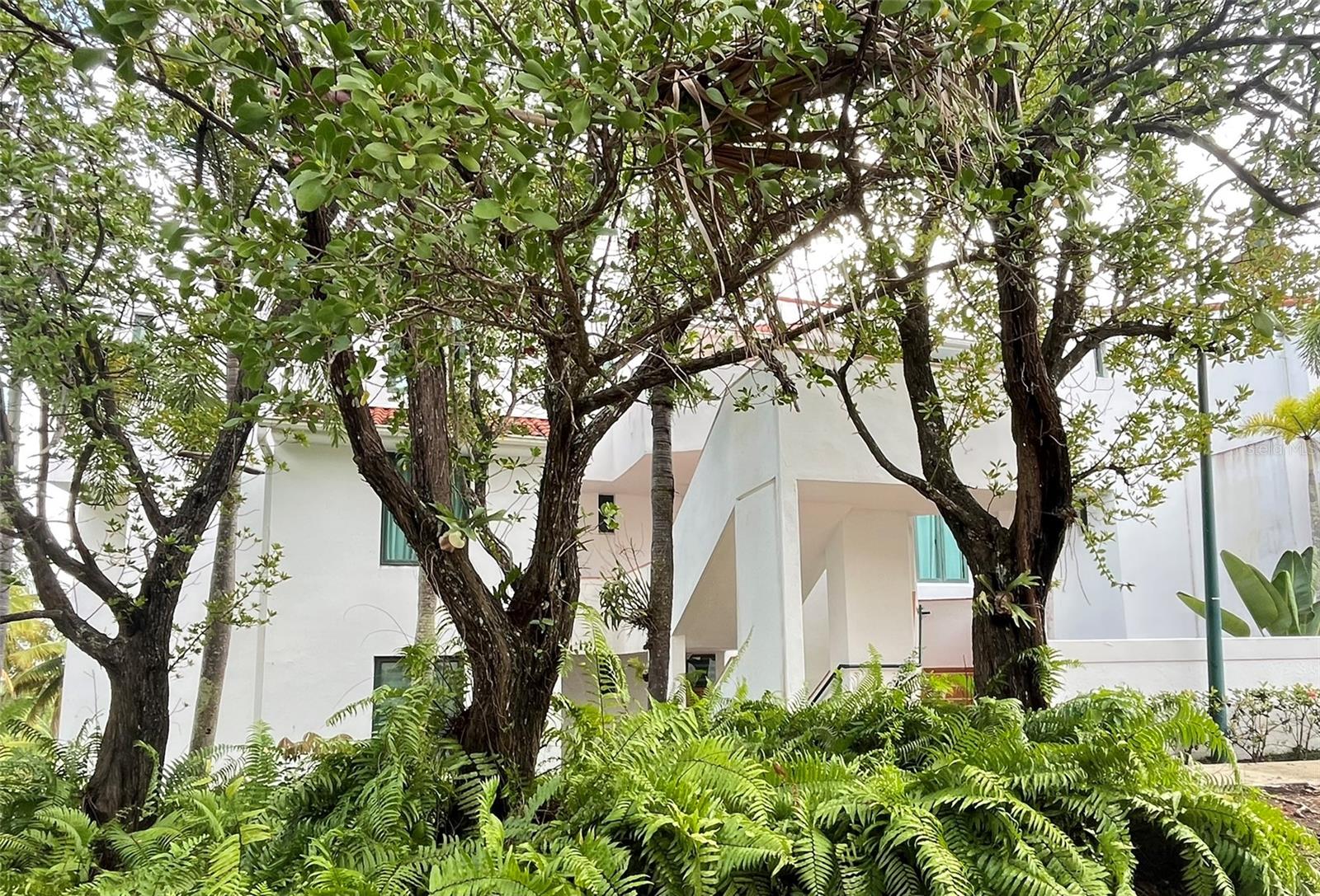 22-01 COND. RIO MAR VILLAGE ##22-01 Property Photo 1