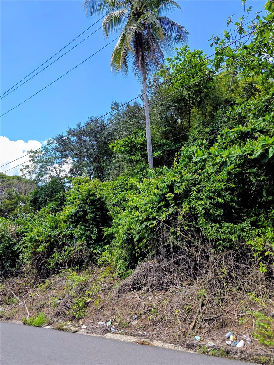 BO QUEBRADA CRUZ