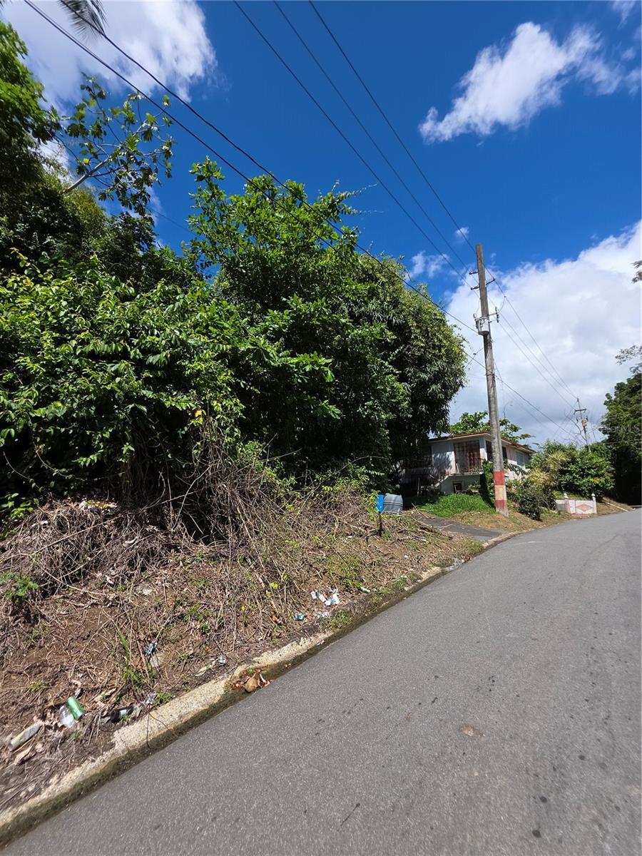 Bo Quebrada Cruz Property Photo 2