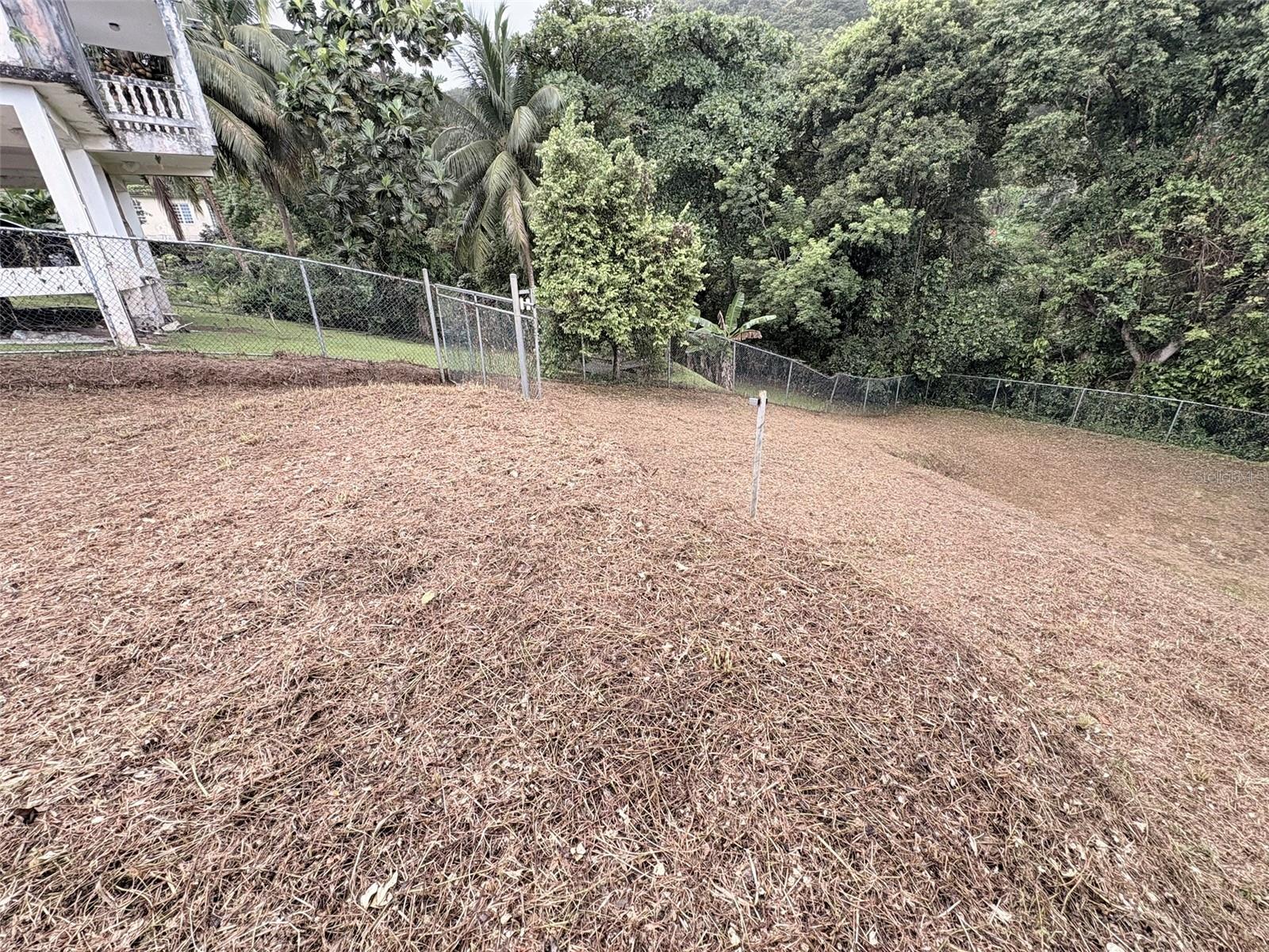 Bo Pitahaya Property Photo 1