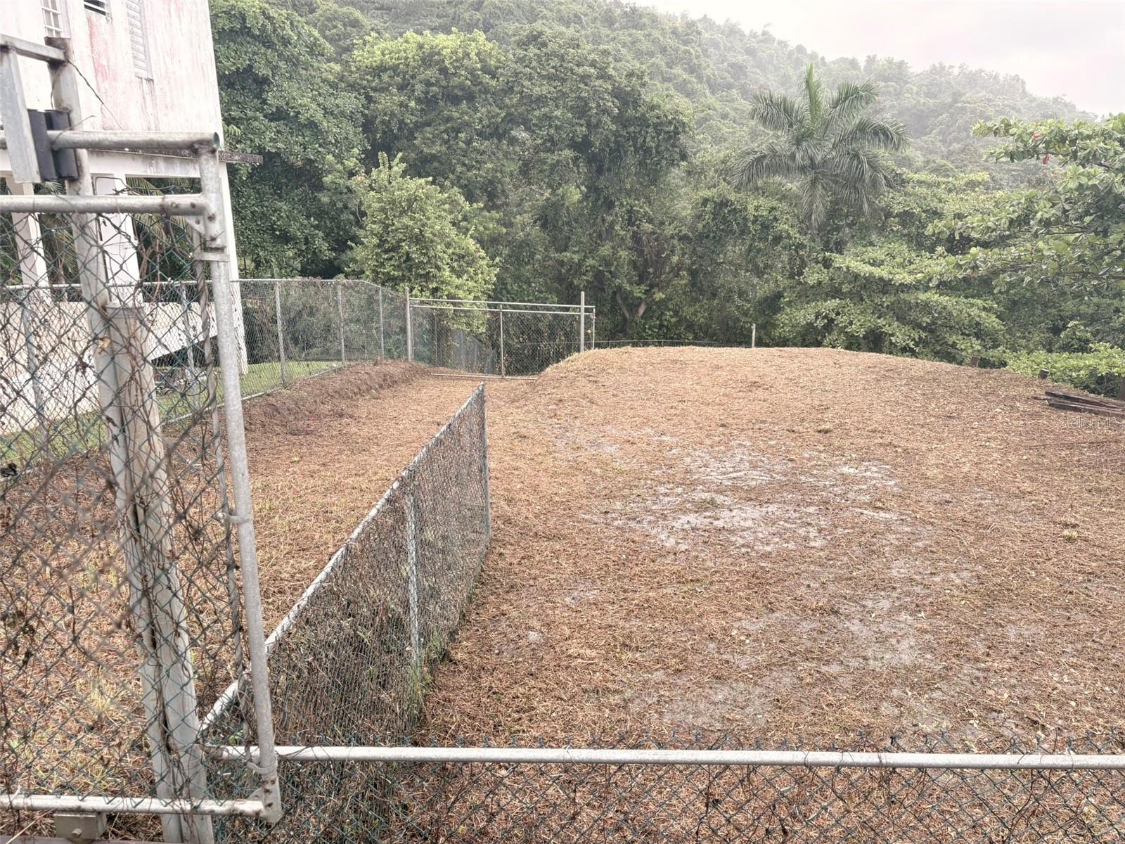 Bo Pitahaya Property Photo 2