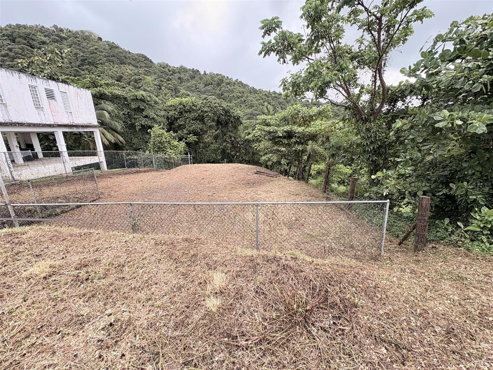 Bo Pitahaya Property Photo 3