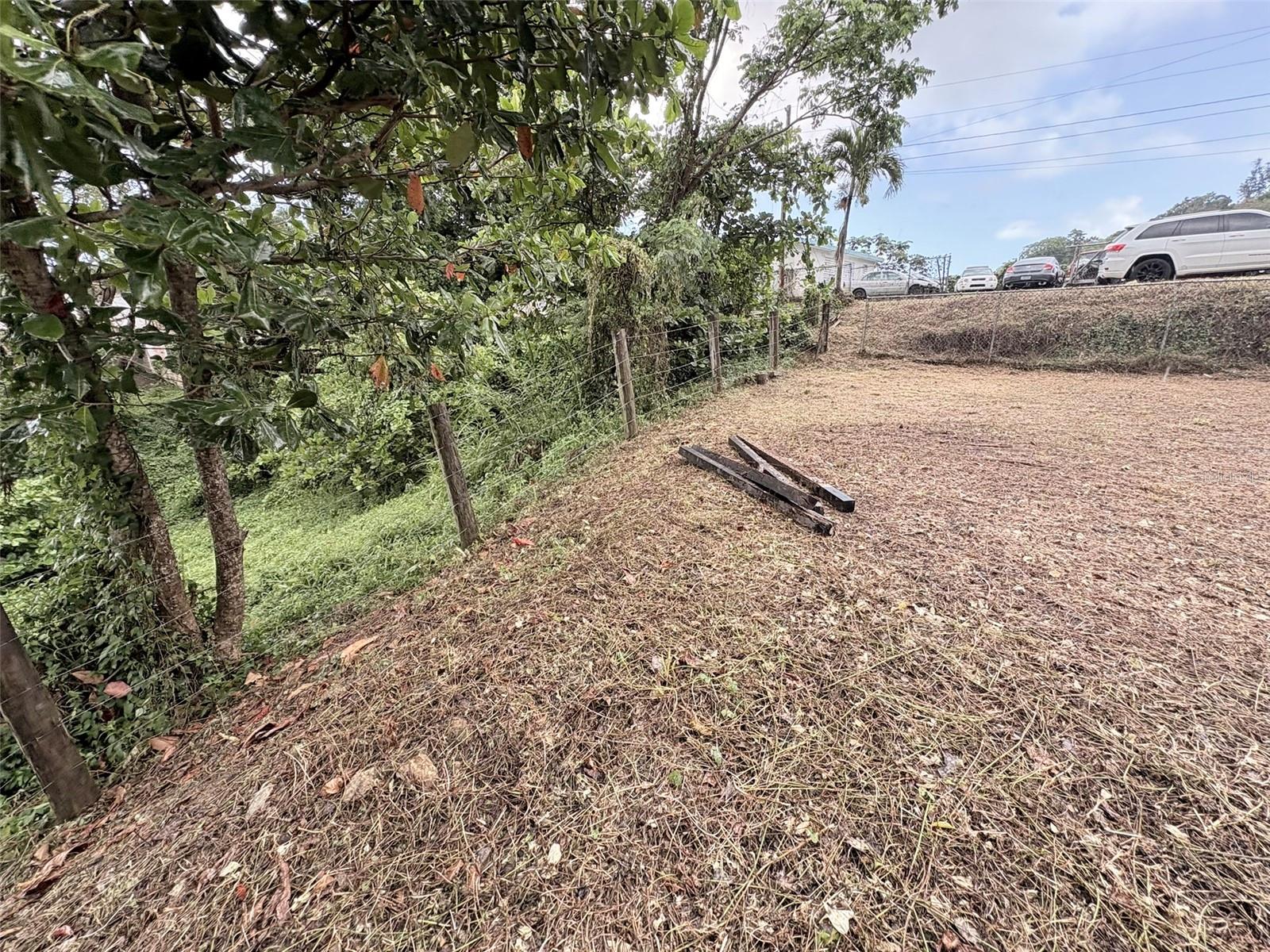 Bo Pitahaya Property Photo 4