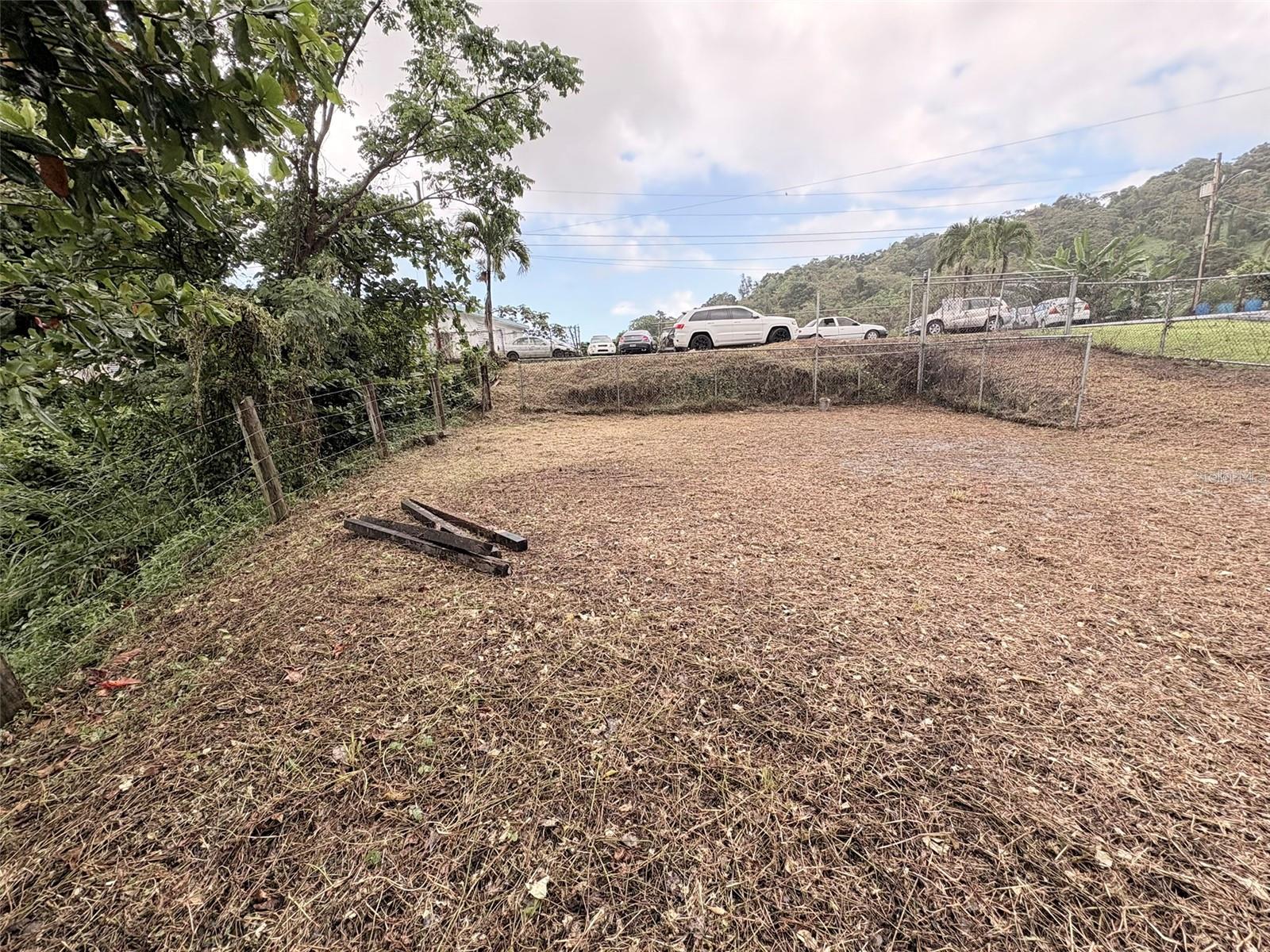 Bo Pitahaya Property Photo 5