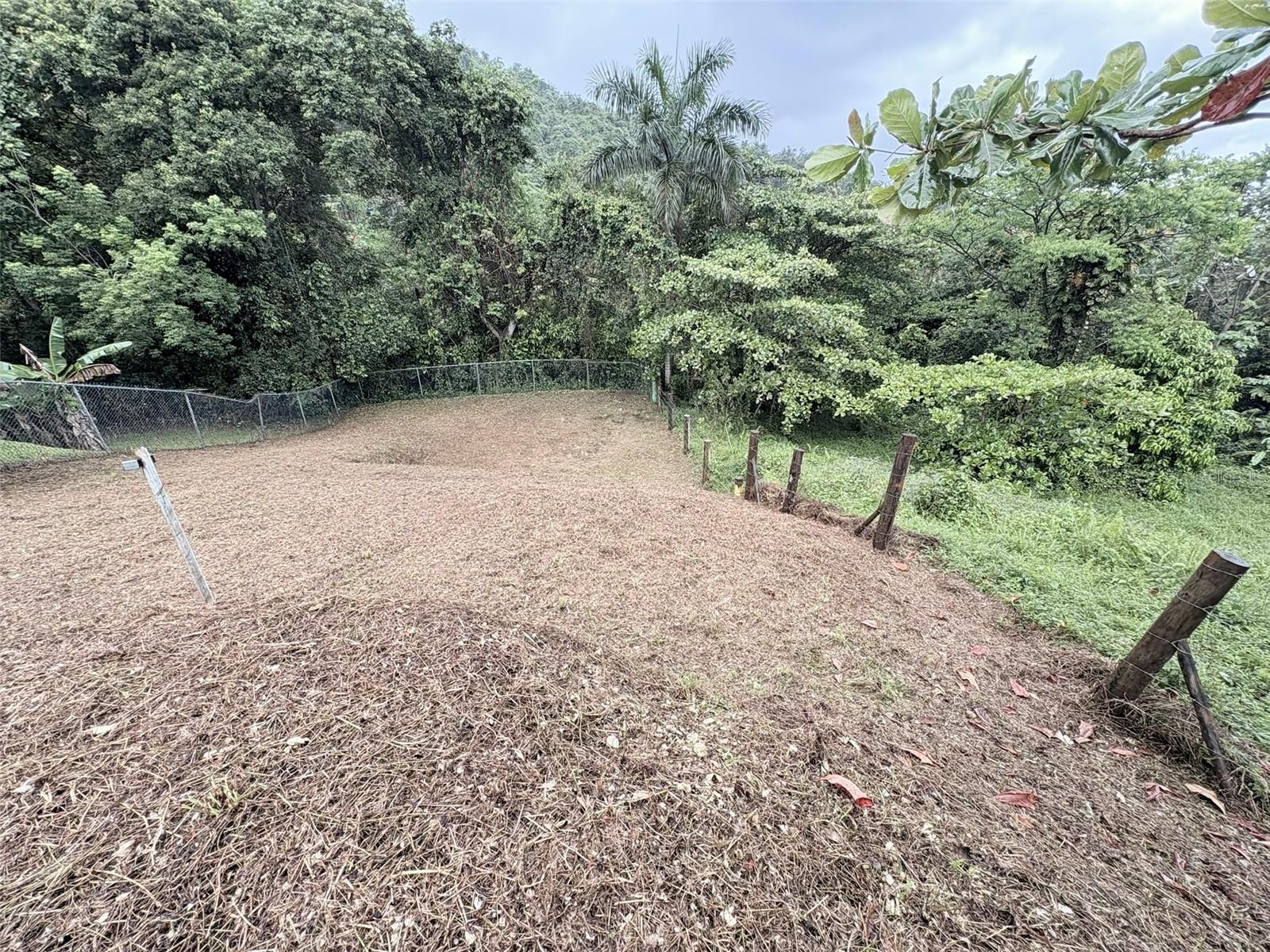 Bo Pitahaya Property Photo 6