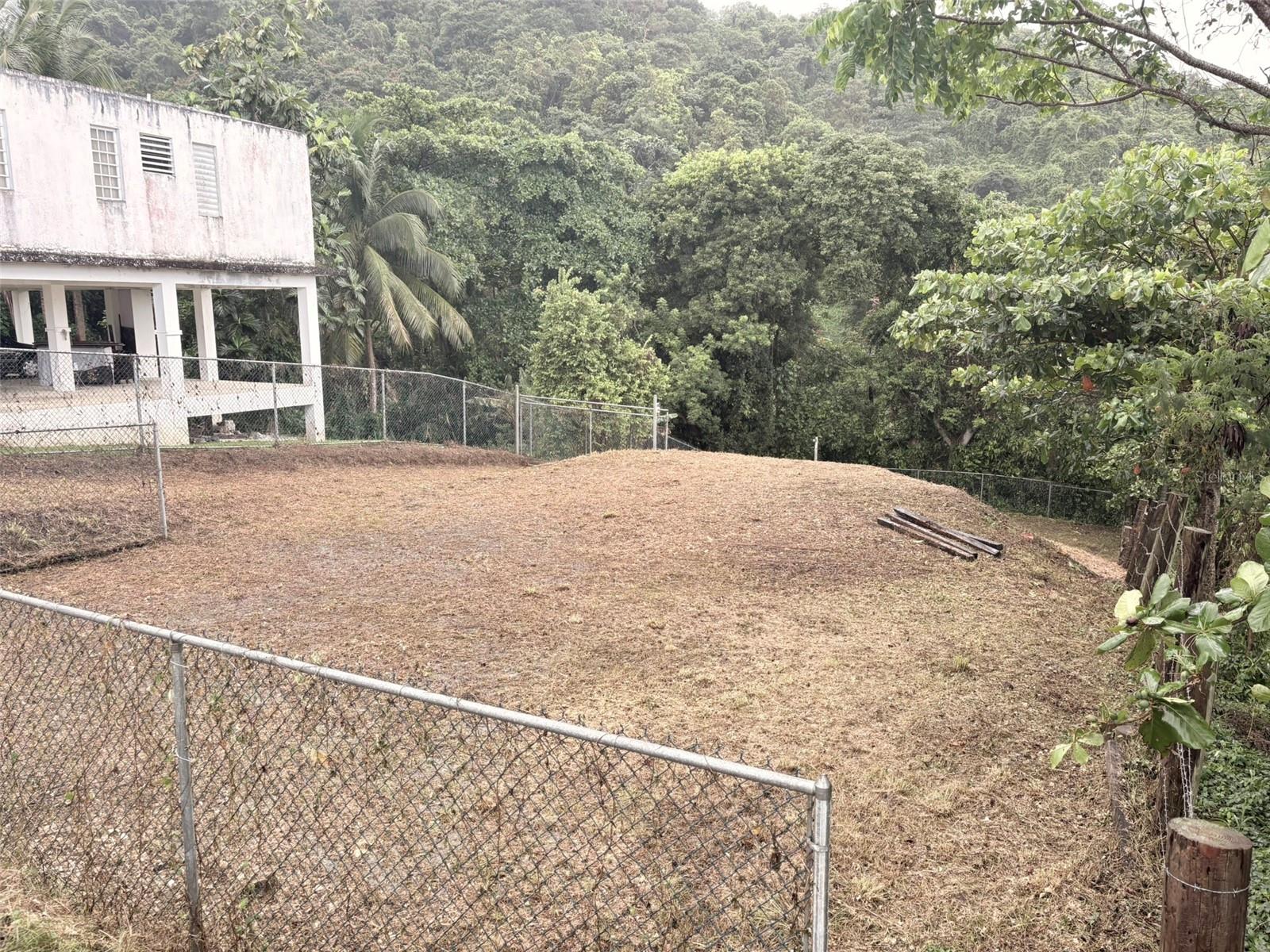 Bo Pitahaya Property Photo 7