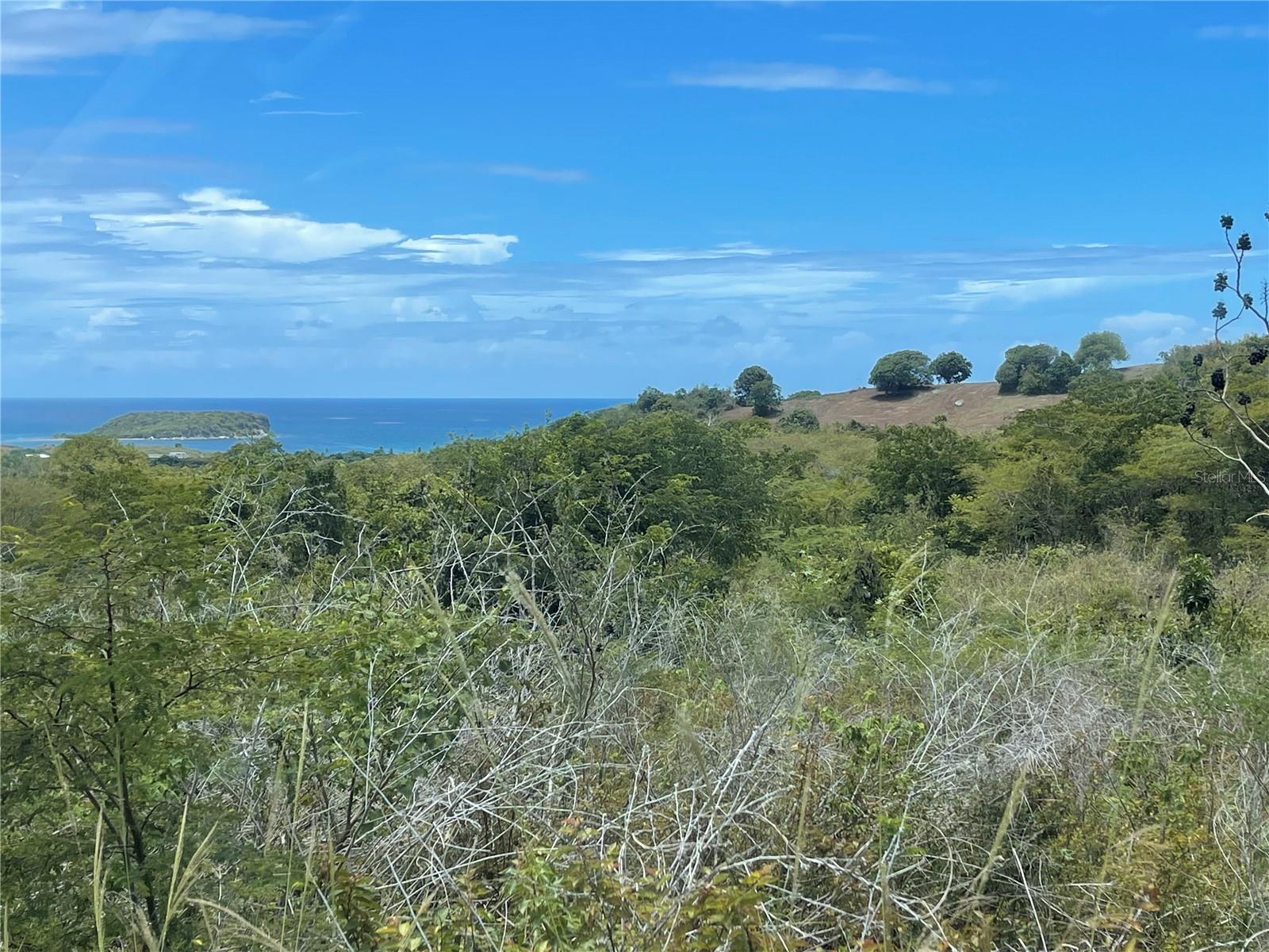 A-1 Finca Vieques Property Photo 4