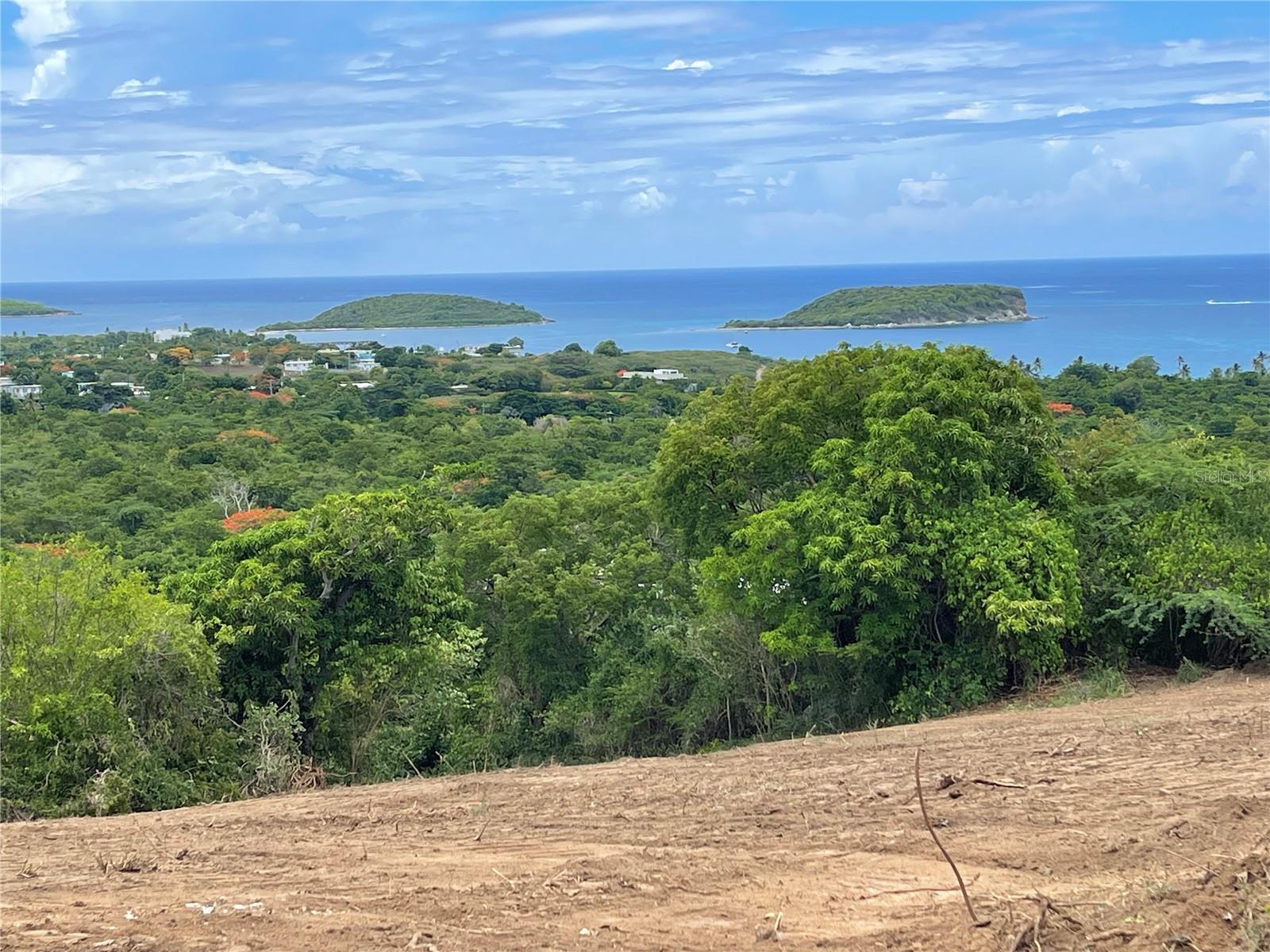 A-1 Finca Vieques Property Photo 11