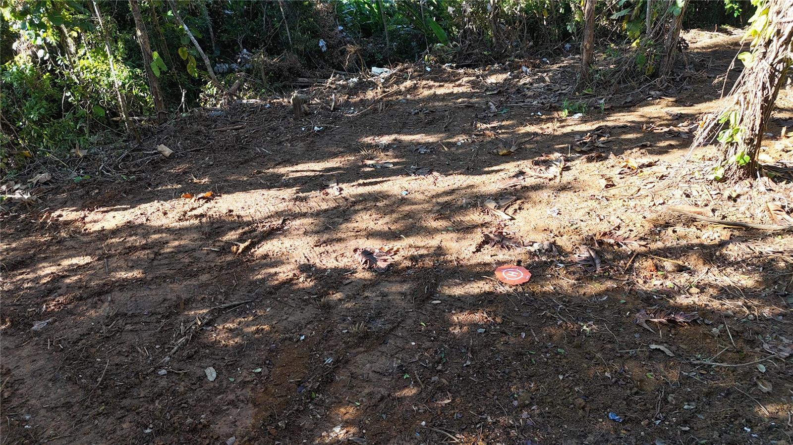 186 Camino Los Reyes Property Photo 1