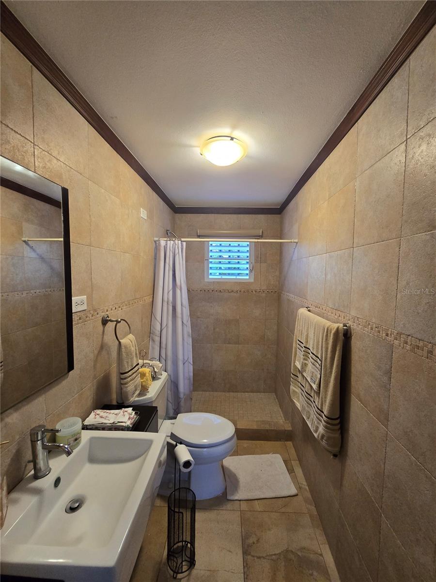 Bo Pulguillas, Carr. 723 Property Photo 12