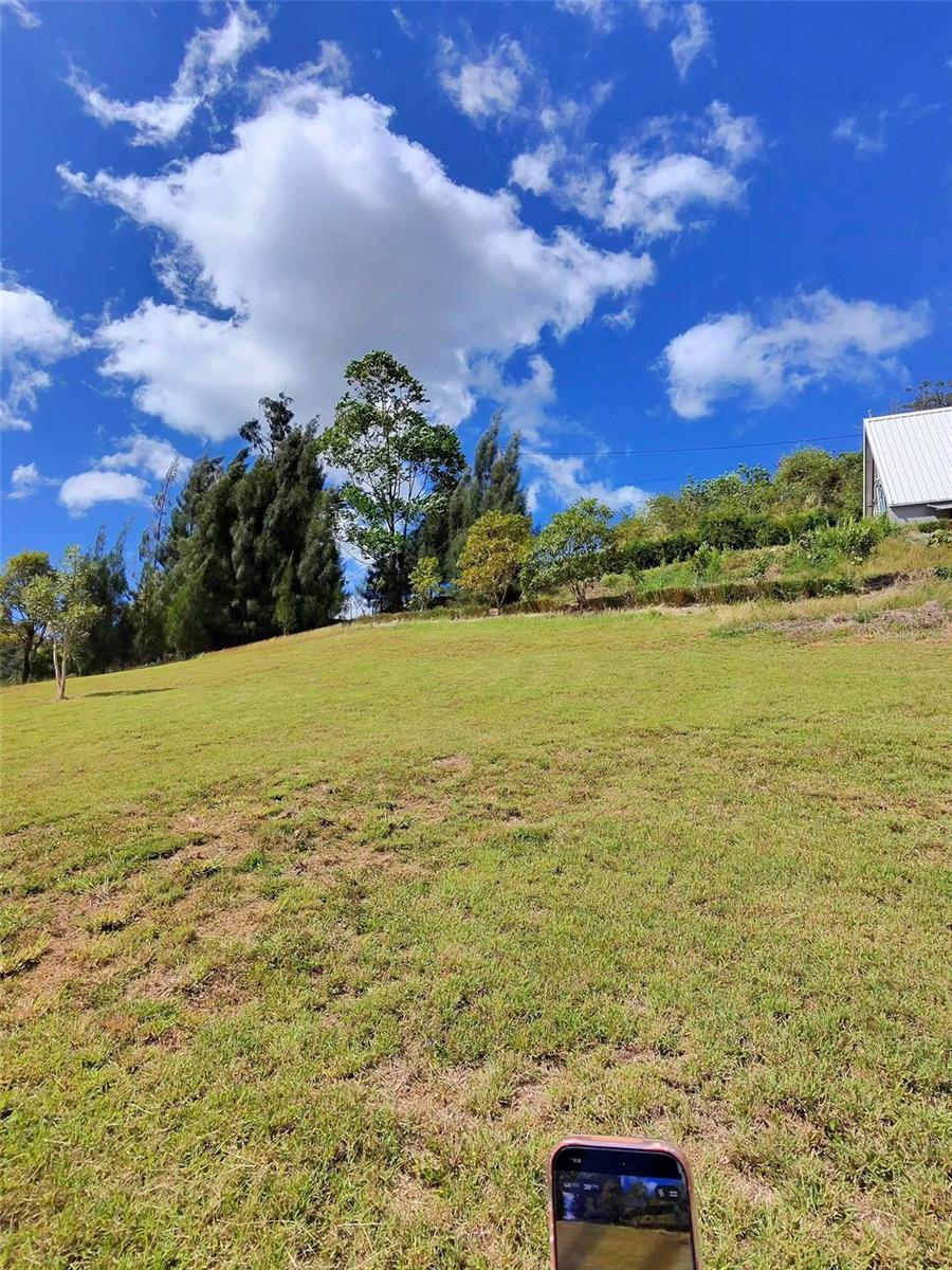 717 Carr. 717, 4.2 Int, Lot 5 Property Photo 16