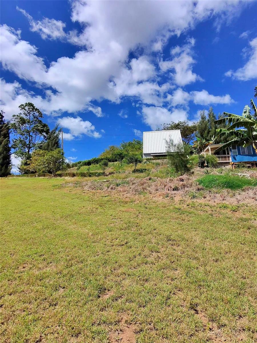 717 Carr. 717, 4.2 Int, Lot 5 Property Photo 18
