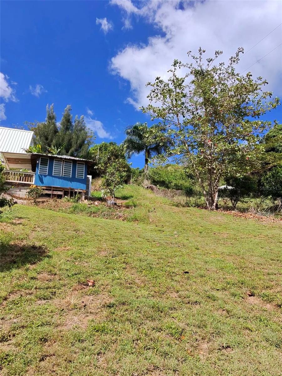717 Carr. 717, 4.2 Int, Lot 5 Property Photo 19