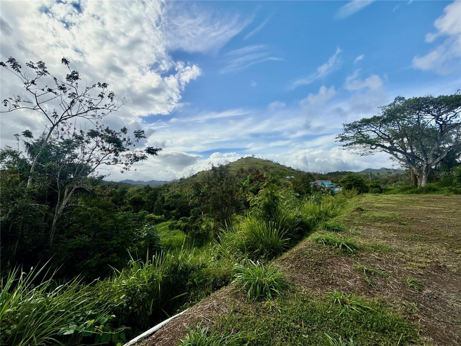 Bo Rincón Lomas Property Photo 2