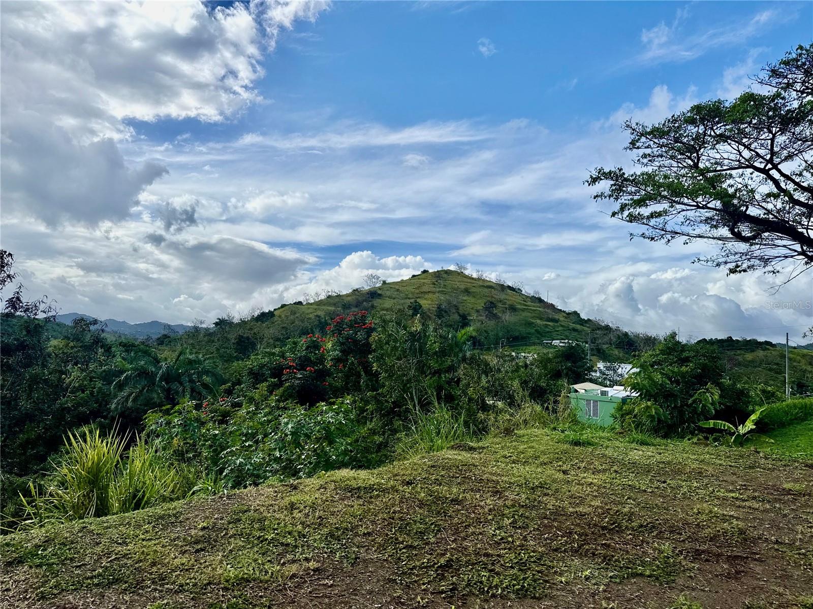 Bo Rincón Lomas Property Photo 4
