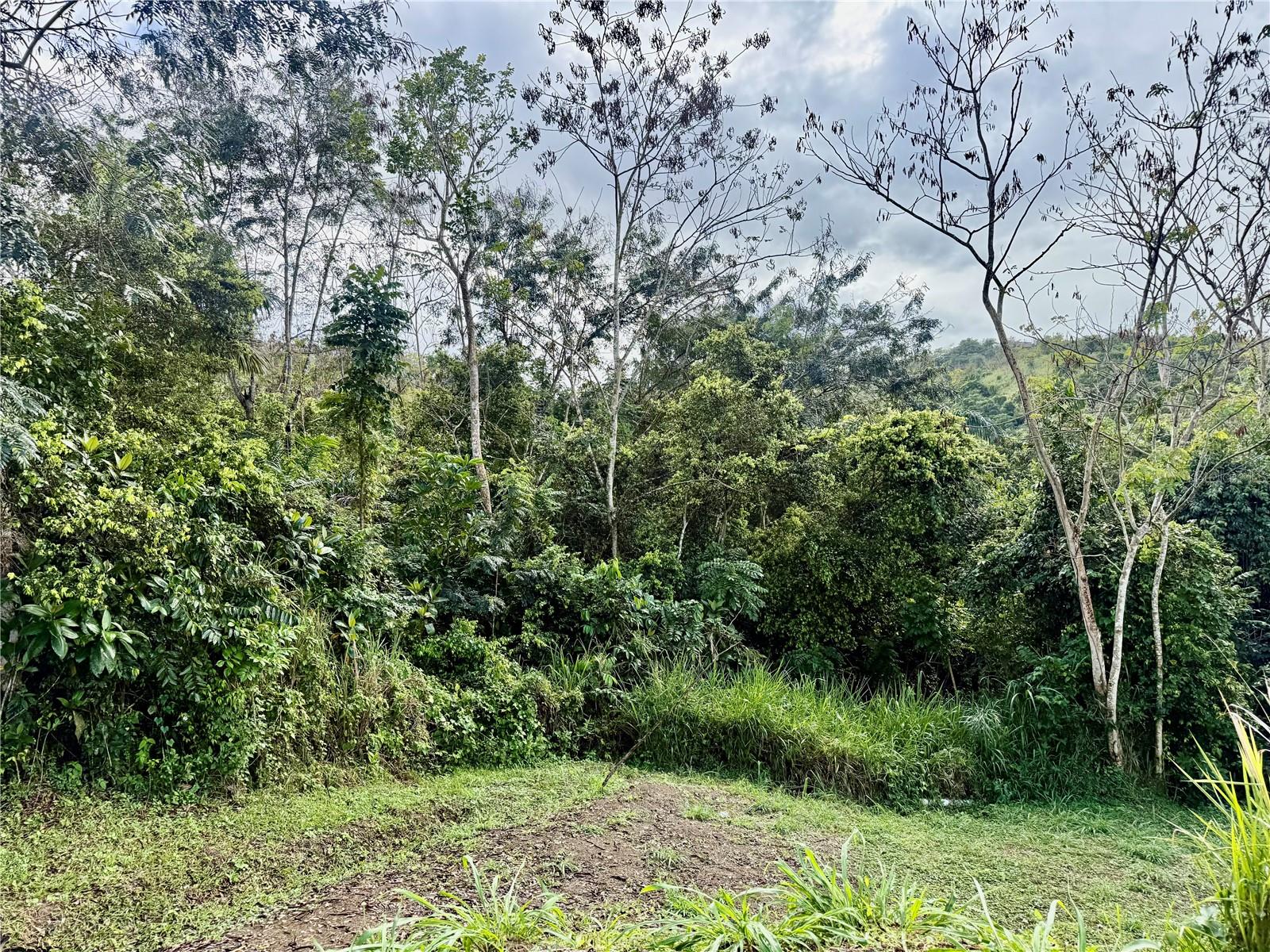 Bo Rincón Lomas Property Photo 5