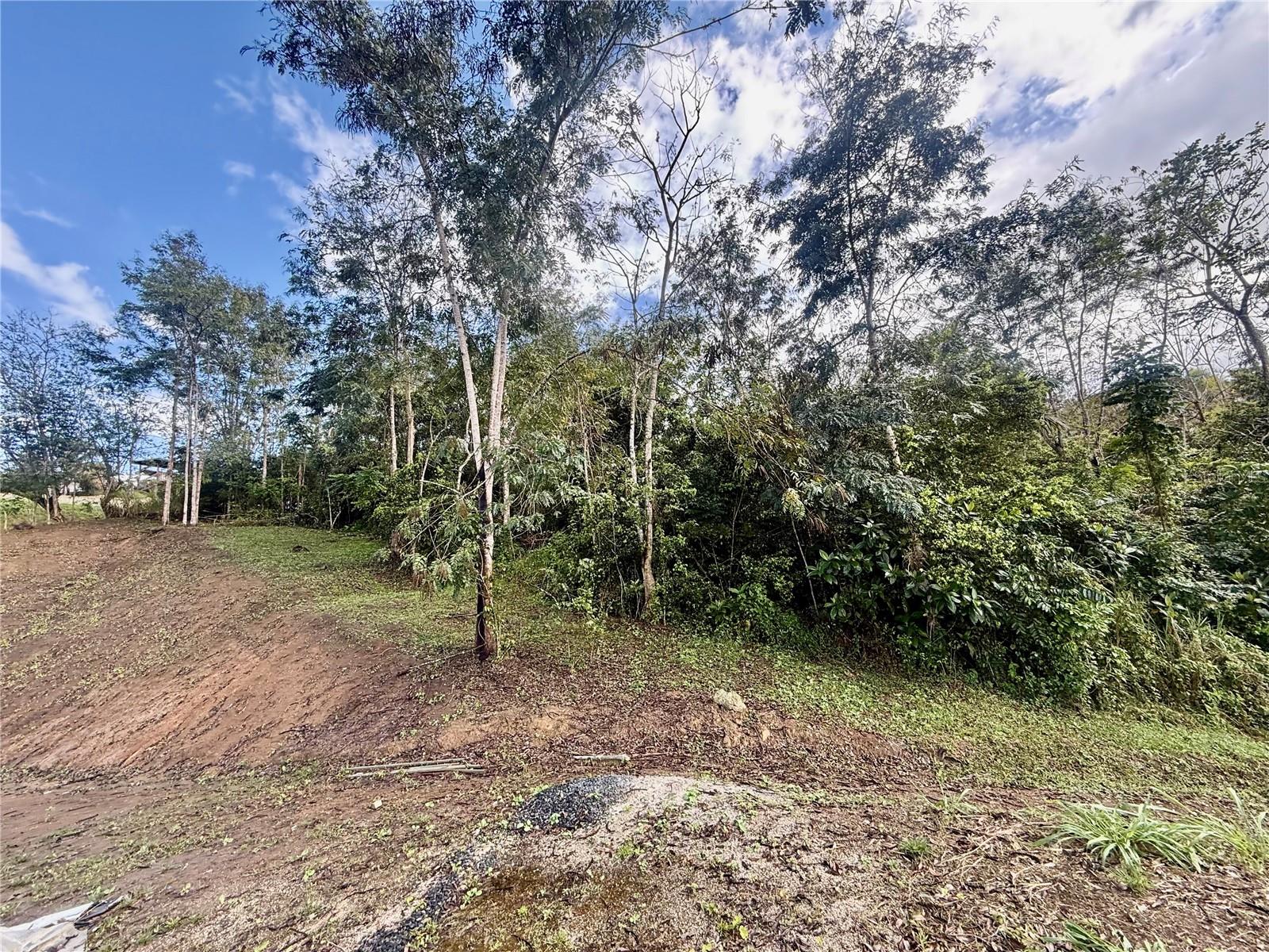 Bo Rincón Lomas Property Photo 6
