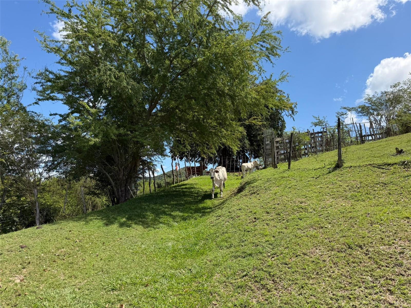150 Santa Catalina Property Photo 19