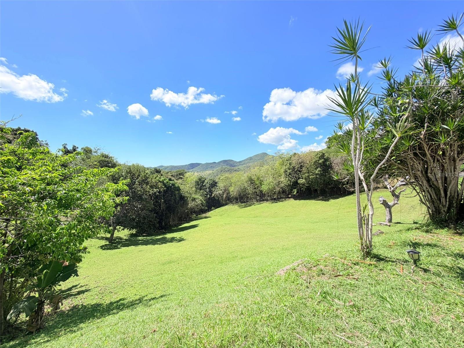150 Santa Catalina Property Photo 20