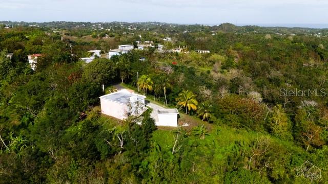0 Rincon, Bo Cruces, Carr. 115 Ramal 4414 Km Hm 2.5 Rd Property Photo 2