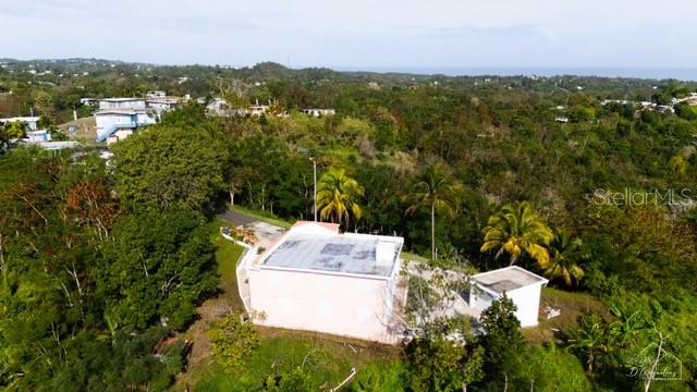 0 Rincon, Bo Cruces, Carr. 115 Ramal 4414 Km Hm 2.5 Rd Property Photo 3