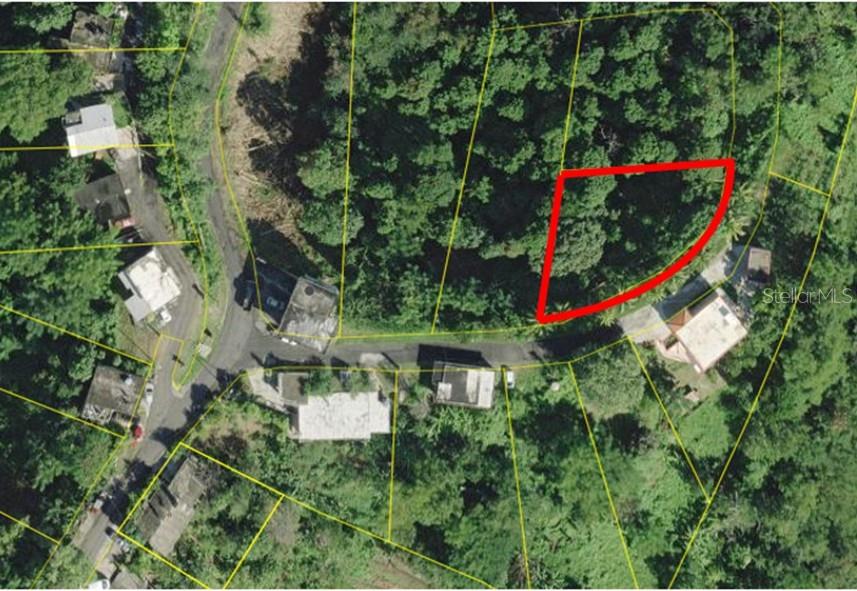 0 Rincon, Bo Cruces, Carr. 115 Ramal 4414 Km Hm 2.5 Rd Property Photo 5