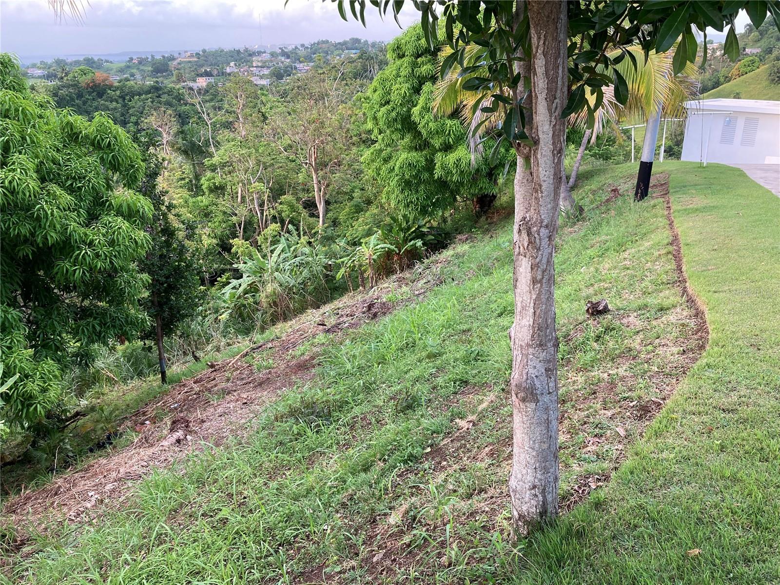 0 Rincon, Bo Cruces, Carr. 115 Ramal 4414 Km Hm 2.5 Rd Property Photo 6