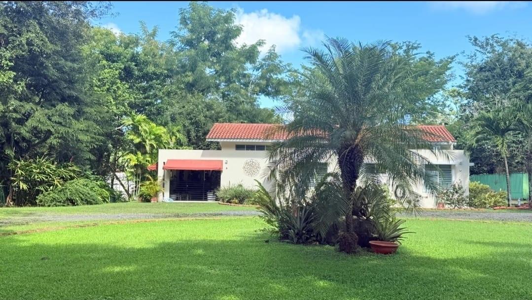 177 Vanda Street Property Photo 3