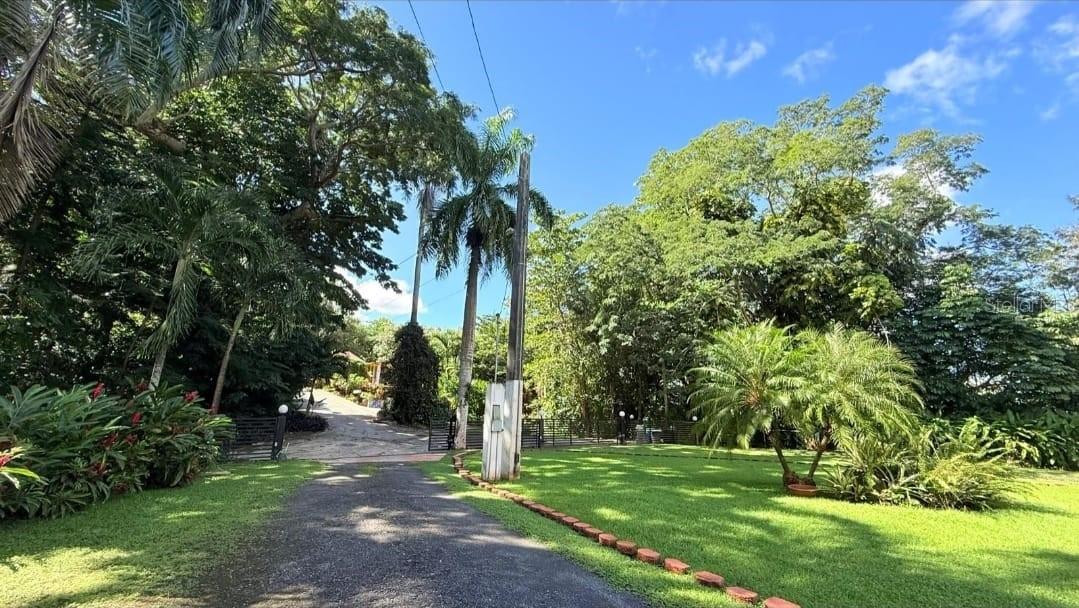 177 Vanda Street Property Photo 4
