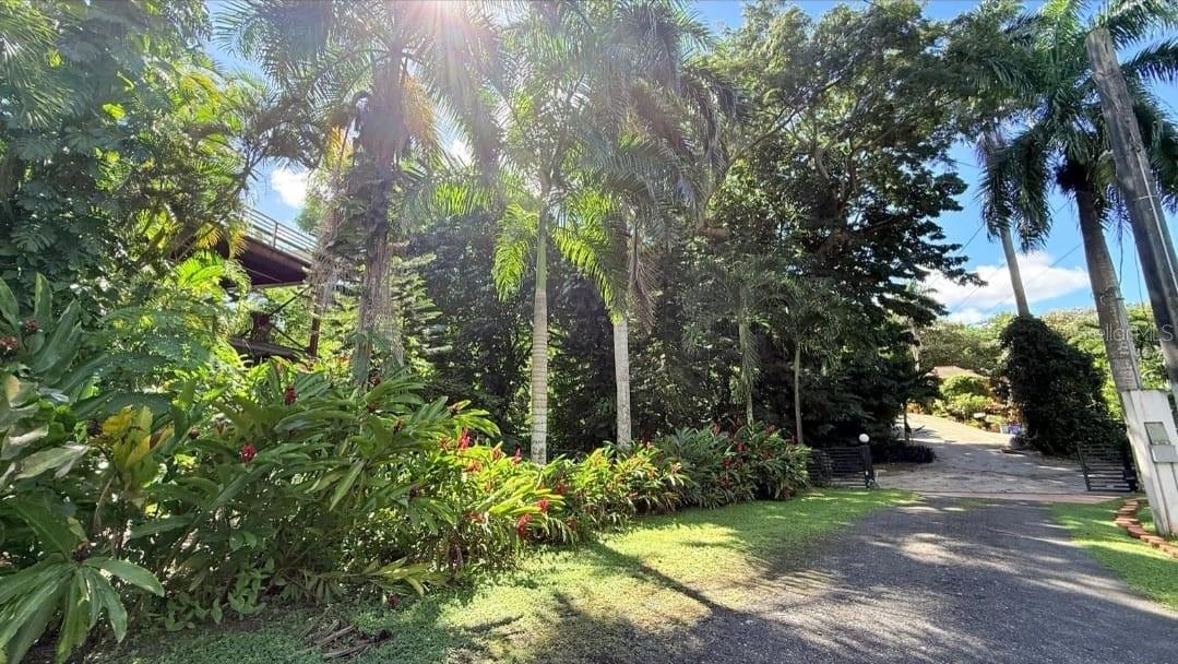 177 Vanda Street Property Photo 5