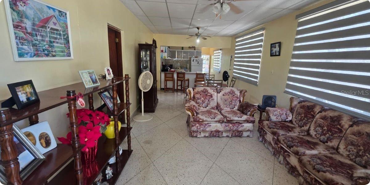 Carr Pr-123 Km 78.9 Bo Hato Viejo Property Photo 8