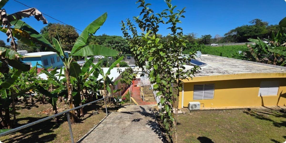 Carr Pr-123 Km 78.9 Bo Hato Viejo Property Photo 32