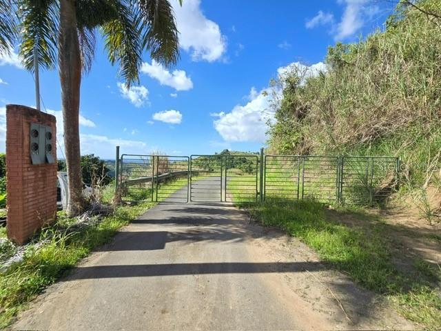 Pr-155 Km 34.0 Barrio Perchas Property Photo 10