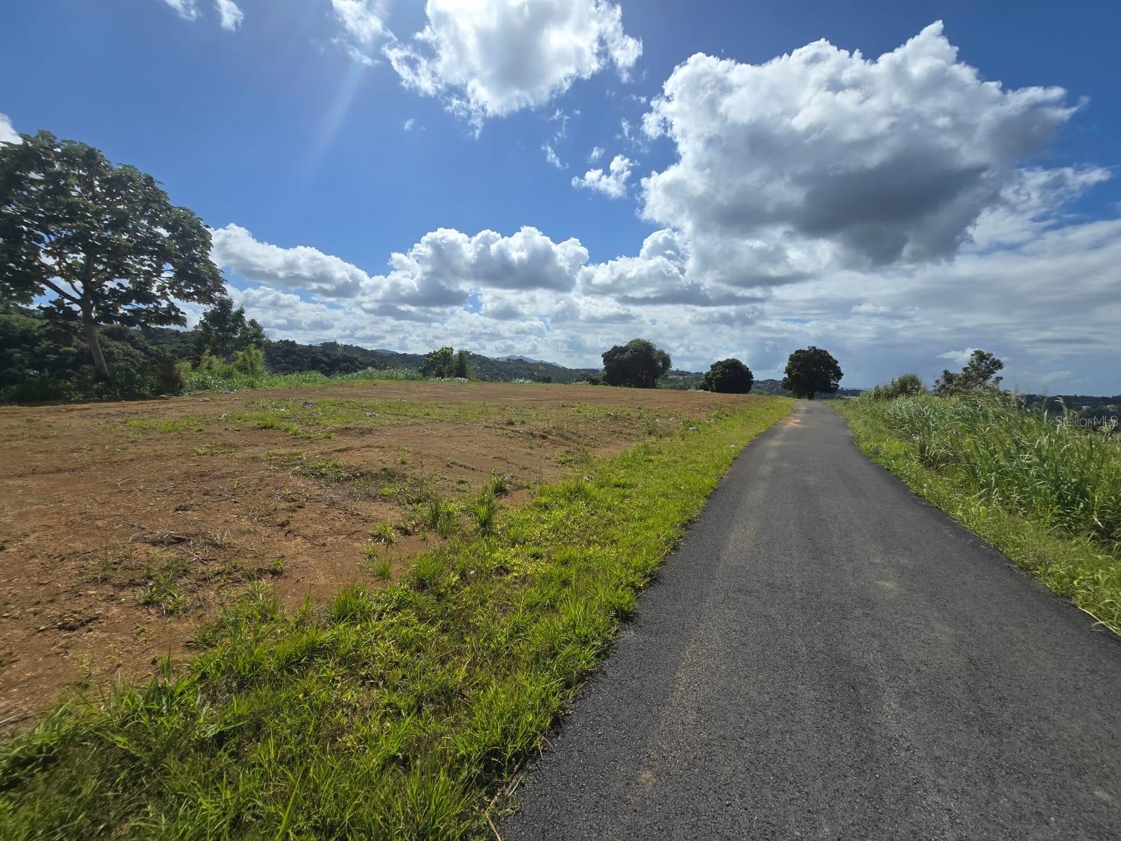 Pr-155 Km 34.0 Barrio Perchas Property Photo 14