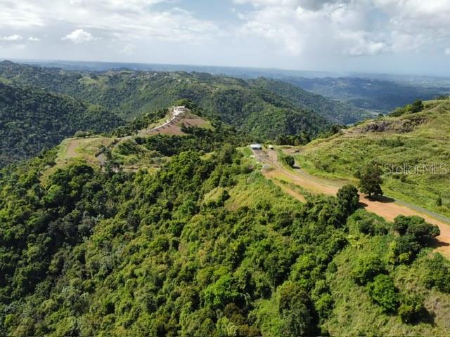 Pr-155 Km 34.0 Barrio Perchas Property Photo 16
