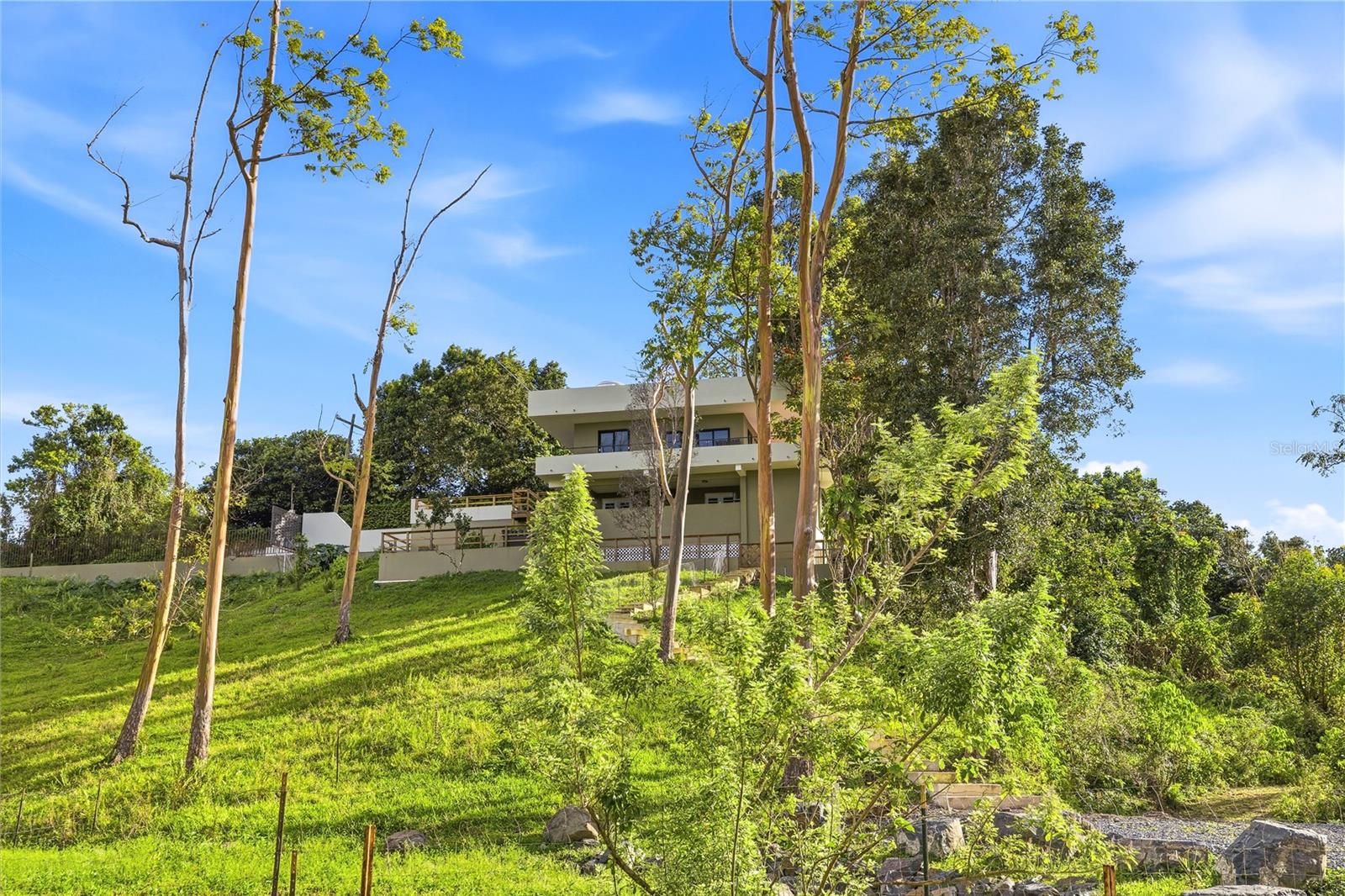 Rd15 Km20.6 Bo. Quebrada Arriba Property Photo 5