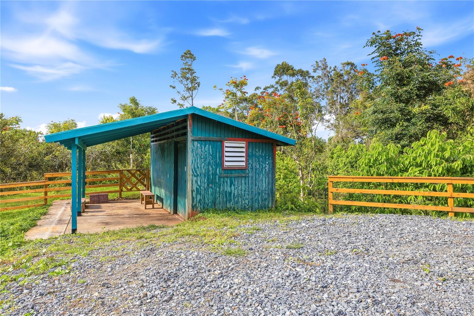 Rd15 Km20.6 Bo. Quebrada Arriba Property Photo 22