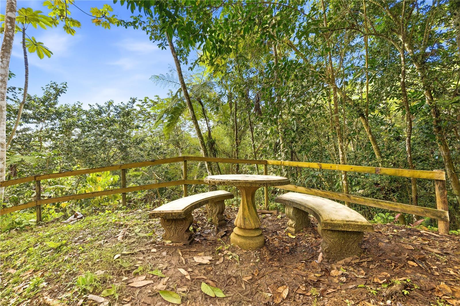 Rd15 Km20.6 Bo. Quebrada Arriba Property Photo 23
