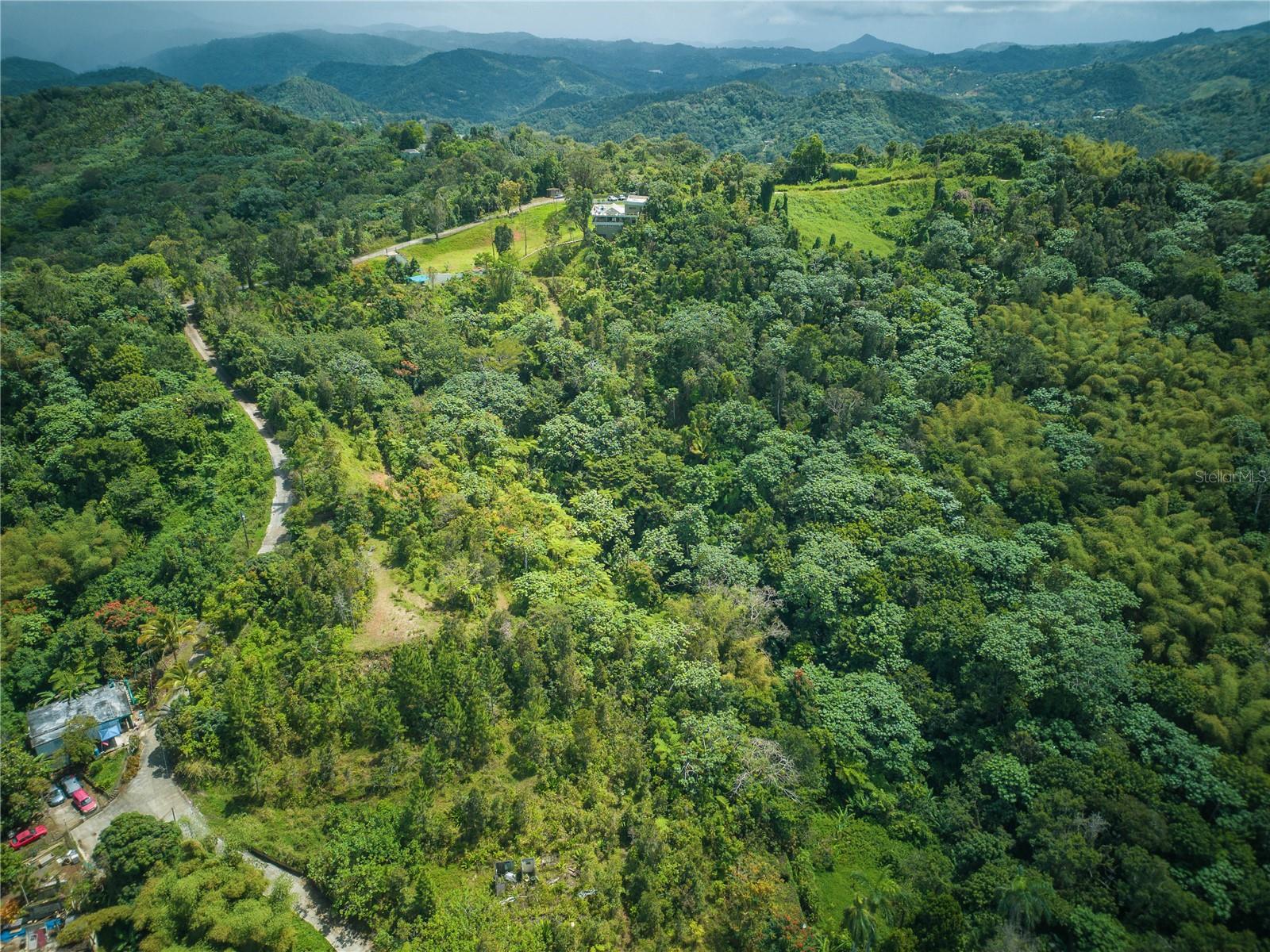 Rd15 Km20.6 Bo. Quebrada Arriba Property Photo 27