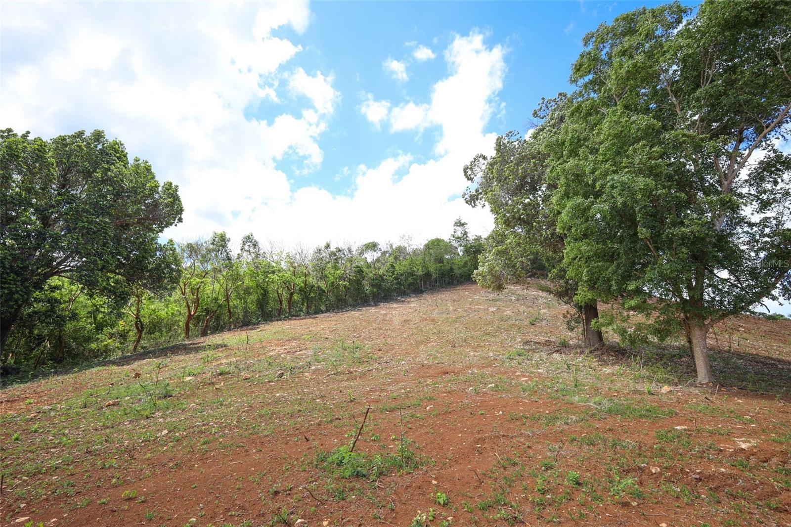 Km 2.4 Int La Rampla #lot 5 Property Photo 9