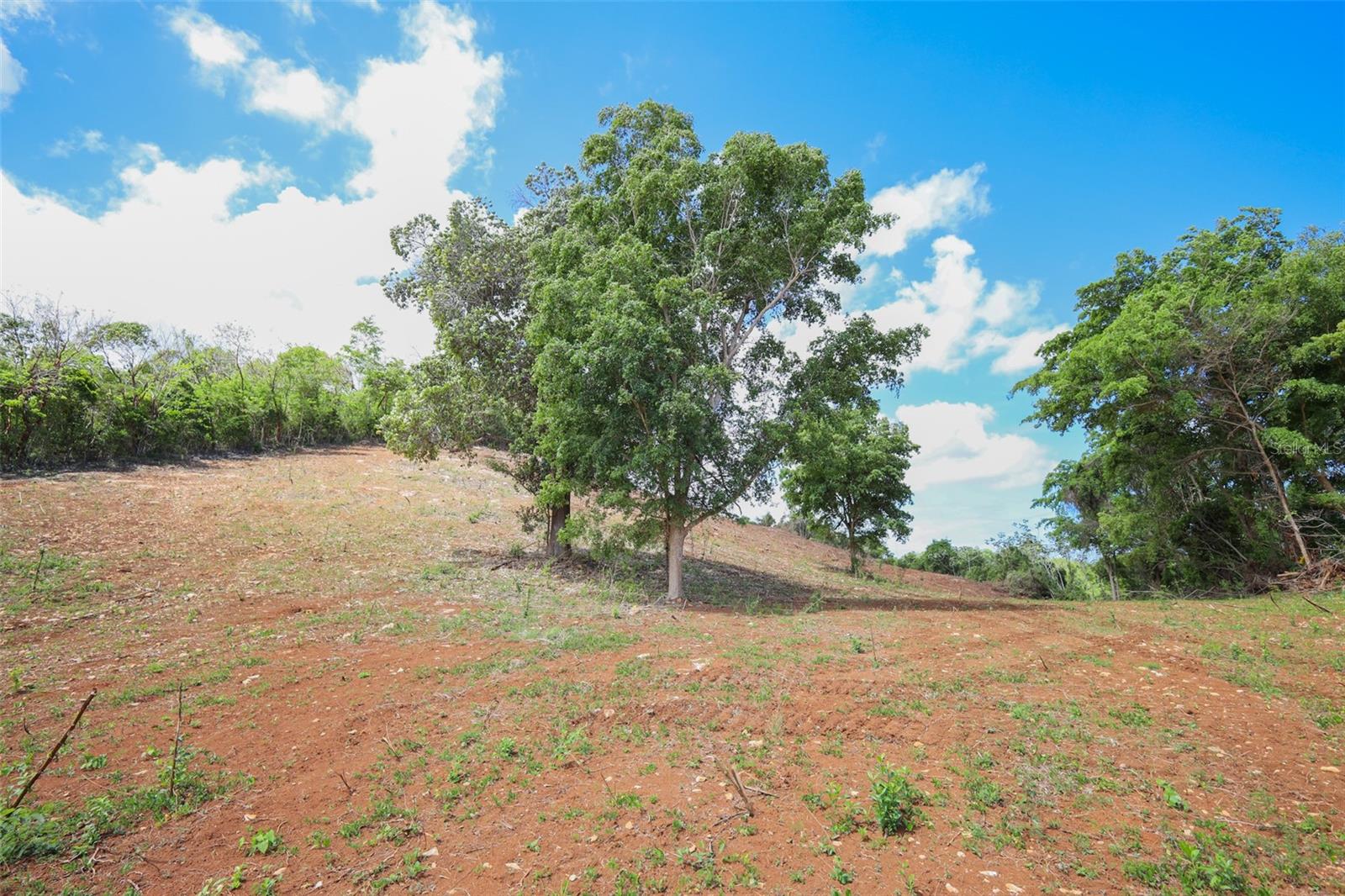 Km 2.4 Int La Rampla #lot 5 Property Photo 10
