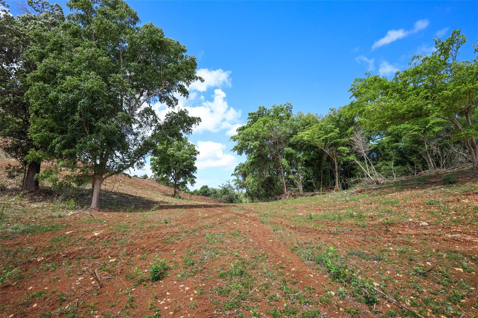 Km 2.4 Int La Rampla #lot 5 Property Photo 11