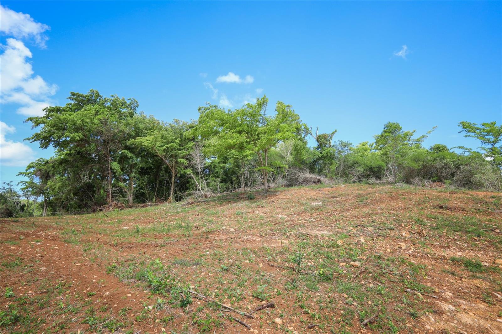 Km 2.4 Int La Rampla #lot 5 Property Photo 12