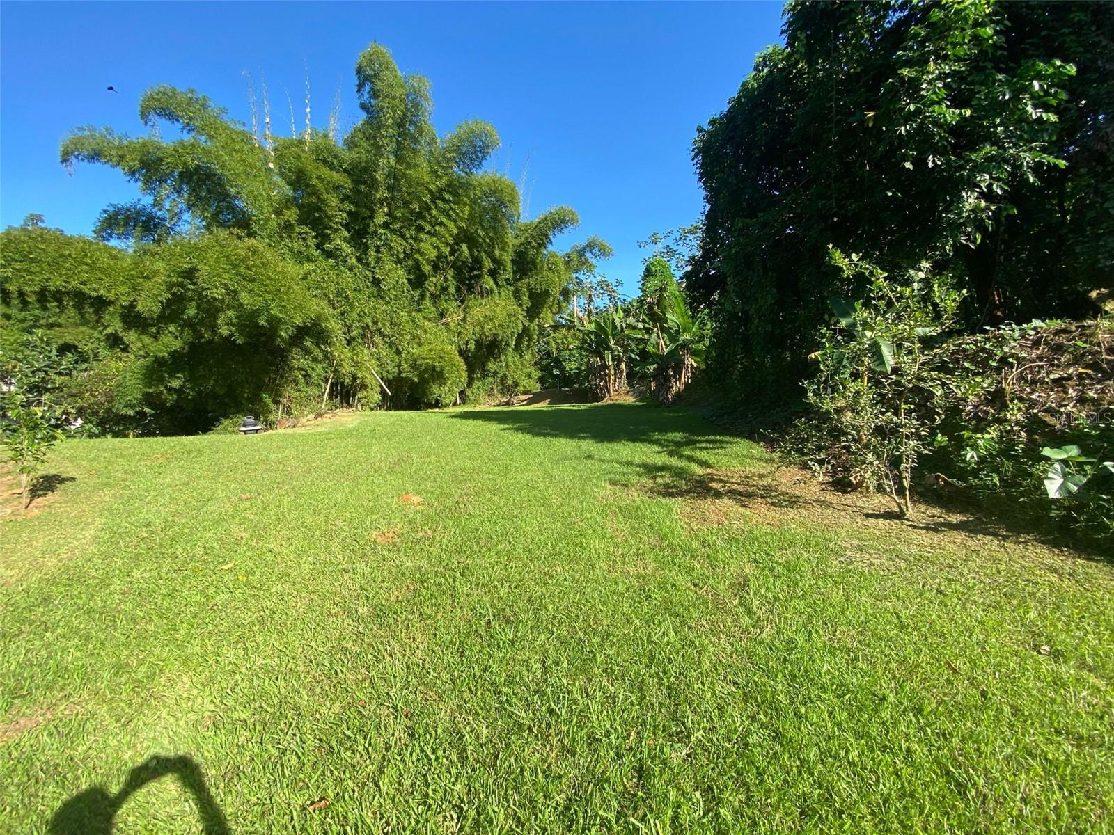 Carr. 108, Camino Adelina Bo. Río Cañas Property Photo 1